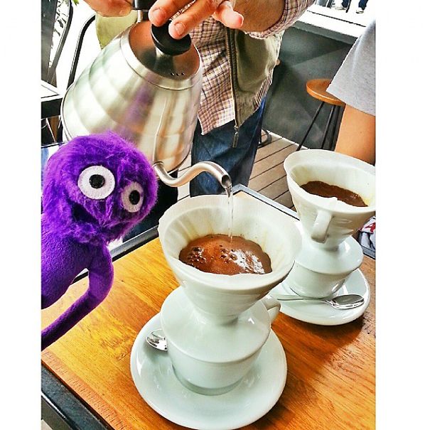 The Cutest Instagram Muppet You Should Definitely Meet The Cutest Instagram Muppet You Should Definitely Meet