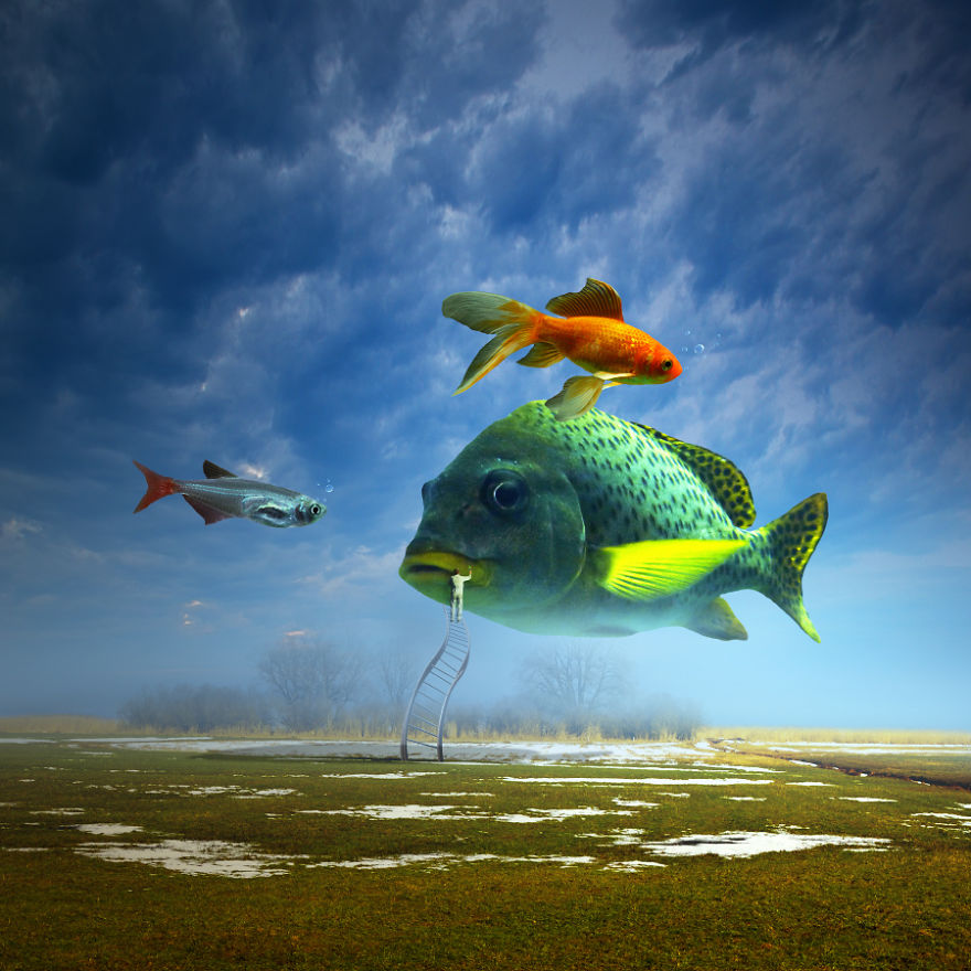 I Create Surreal Worlds For Animals To Live In Without Cruelty I Create Surreal Worlds For Animals To Live In Without Cruelty