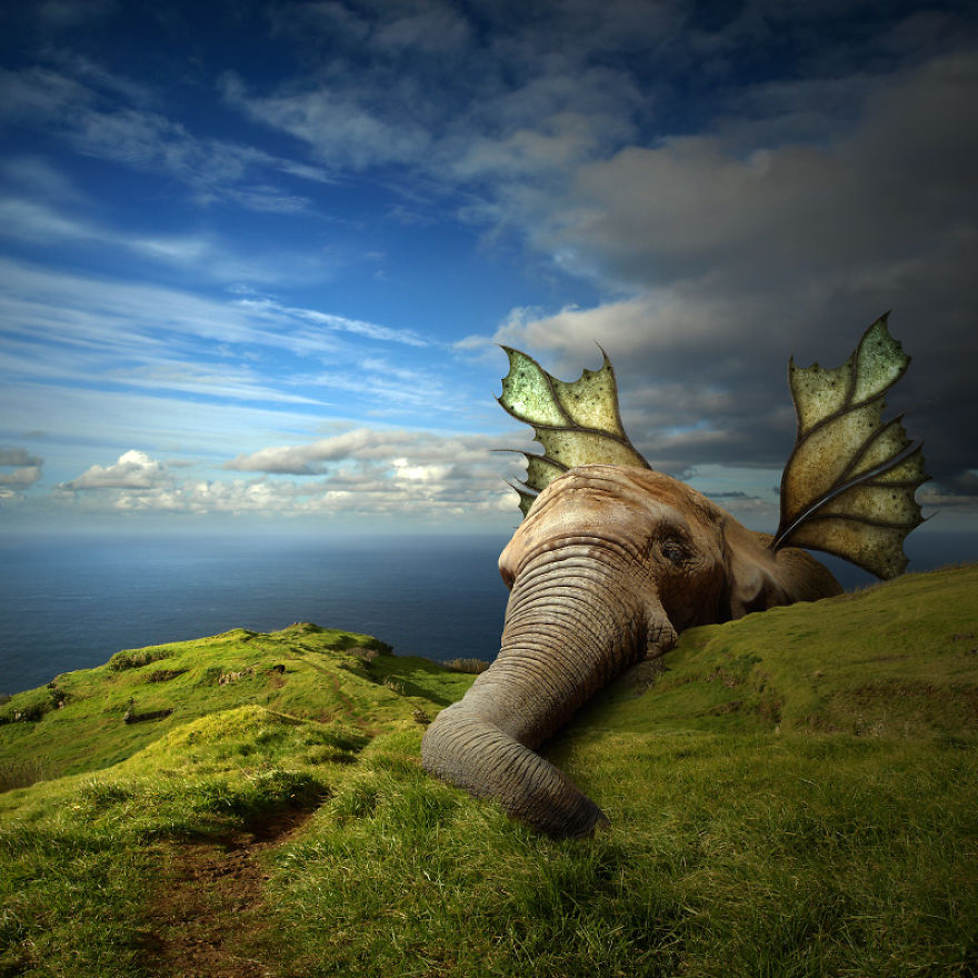 I Create Surreal Worlds For Animals To Live In Without Cruelty