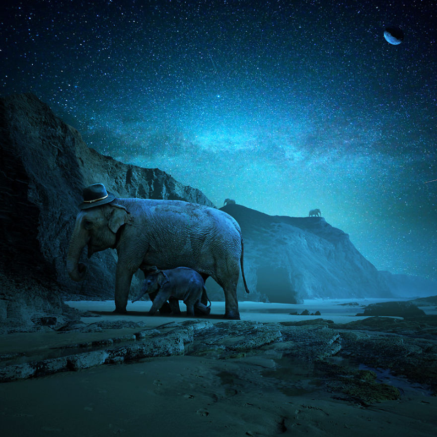 I Create Surreal Worlds For Animals To Live In Without Cruelty