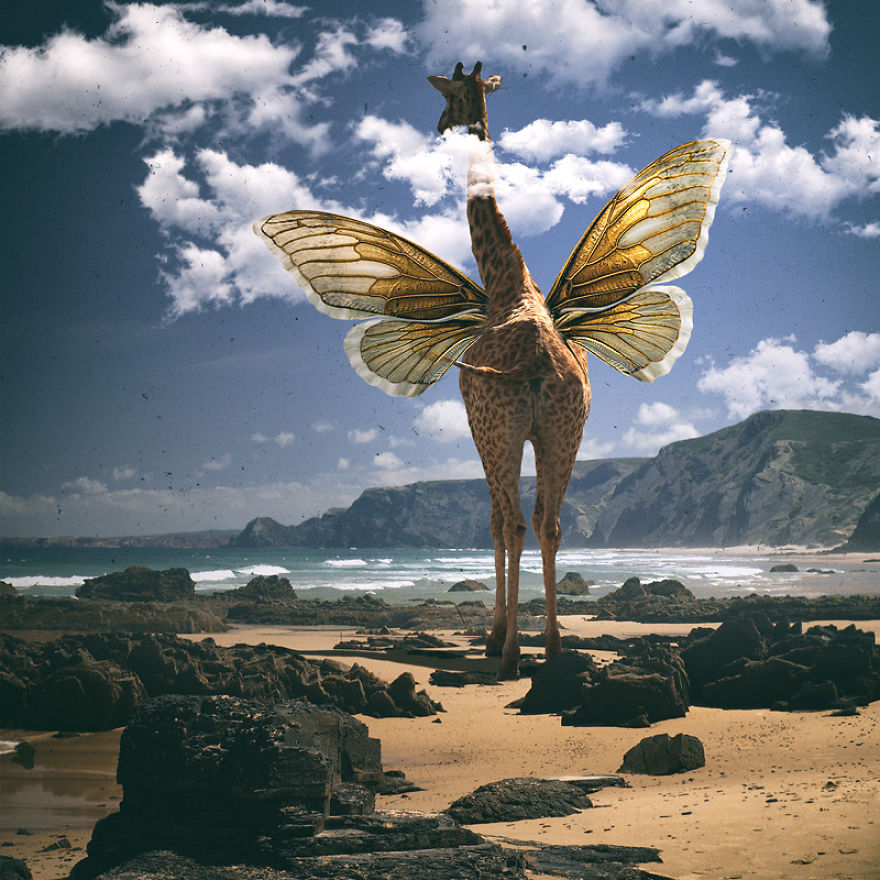 I Create Surreal Worlds For Animals To Live In Without Cruelty