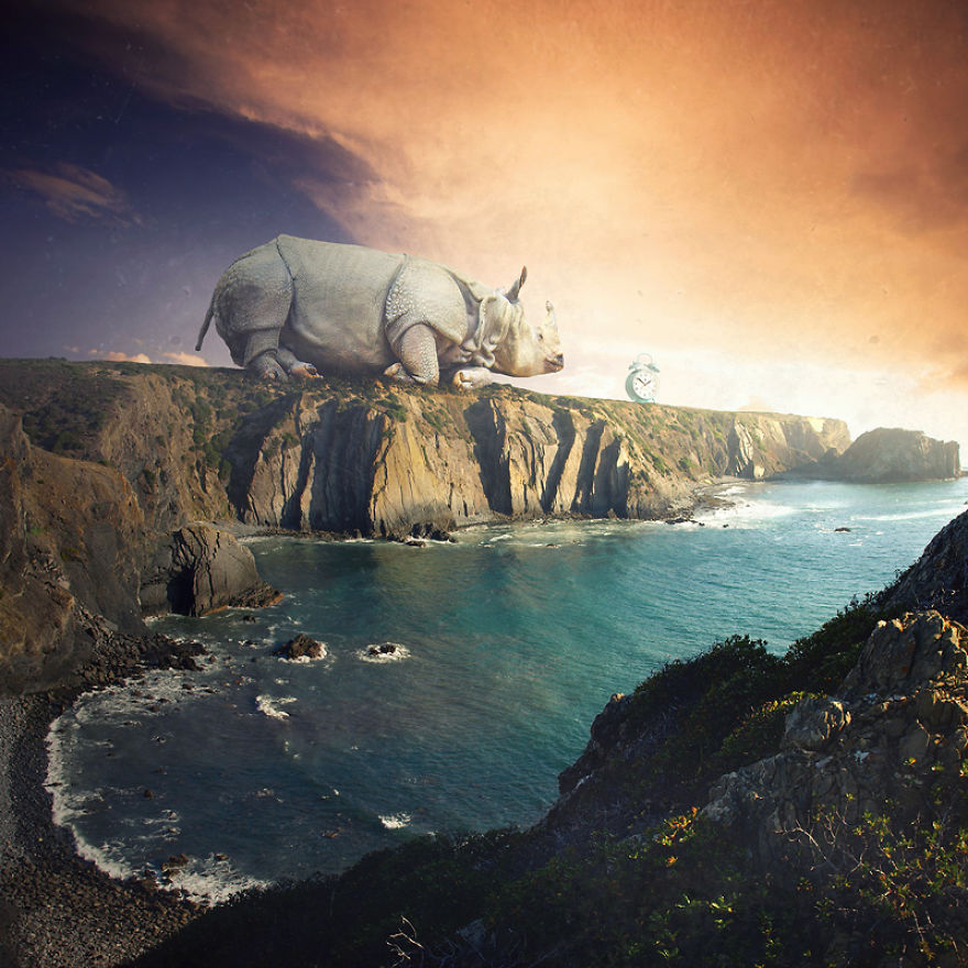 I Create Surreal Worlds For Animals To Live In Without Cruelty I Create Surreal Worlds For Animals To Live In Without Cruelty