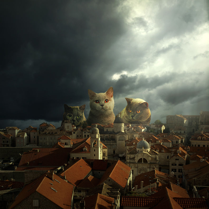 I Create Surreal Worlds For Animals To Live In Without Cruelty