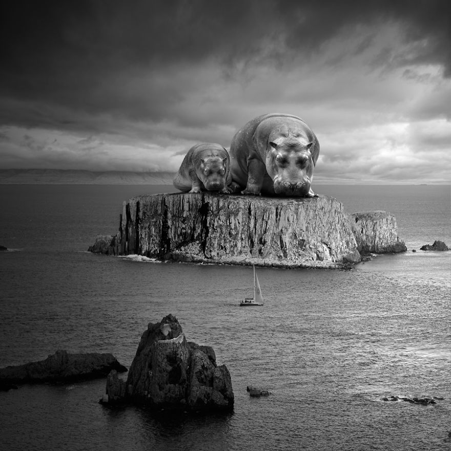 I Create Surreal Worlds For Animals To Live In Without Cruelty