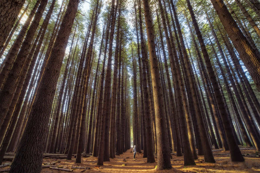 When Traveling, I Capture The Beautiful Bond Between Nature And My Friends When Traveling, I Capture The Beautiful Bond Between Nature And My Friends