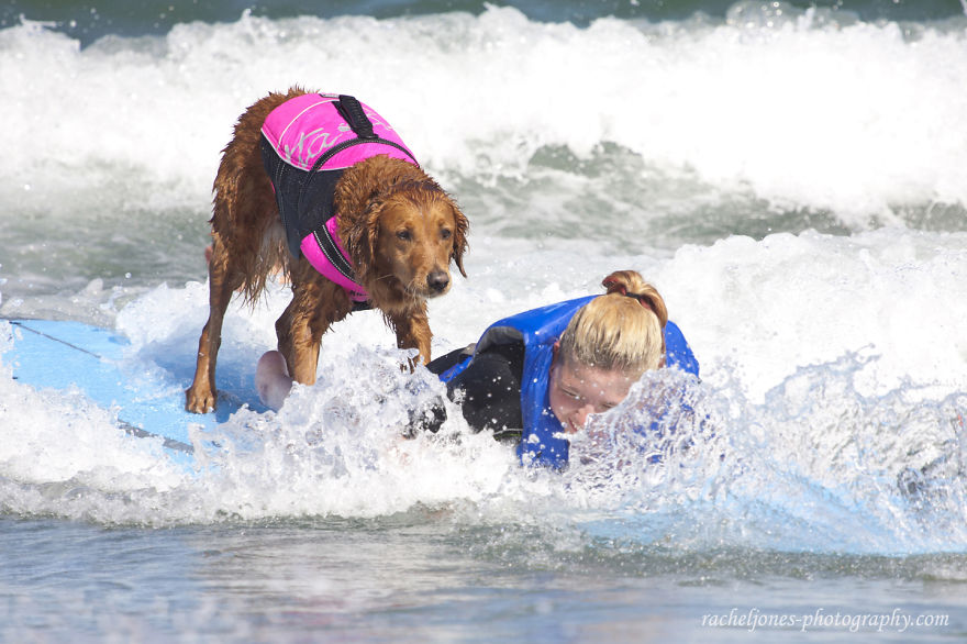 Two Sisters With Same Terminal Illness Catch Waves With My Surfing Dog Two Sisters With Same Terminal Illness Catch Waves With My Surfing Dog