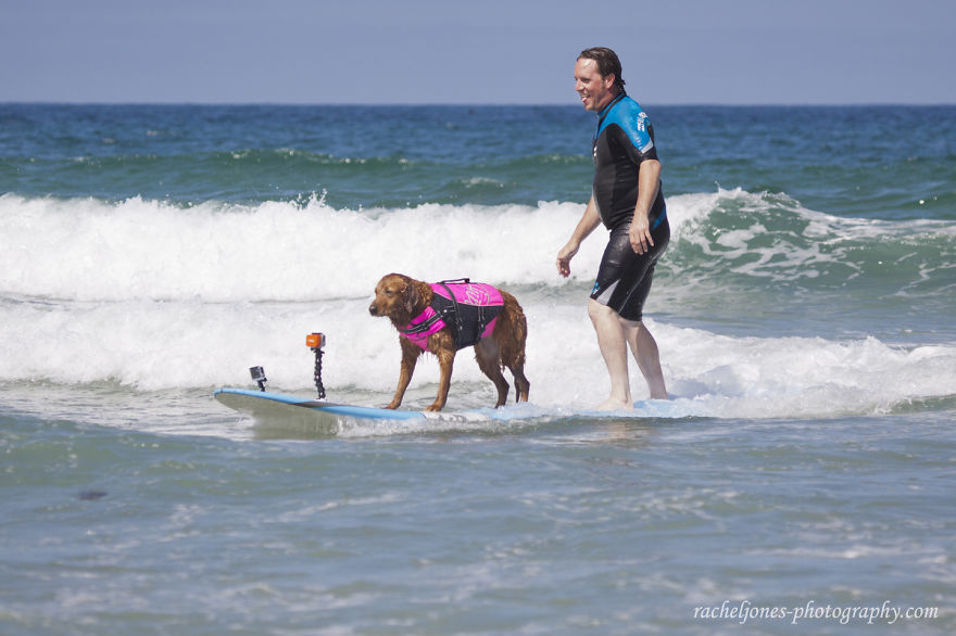 Two Sisters With Same Terminal Illness Catch Waves With My Surfing Dog Two Sisters With Same Terminal Illness Catch Waves With My Surfing Dog