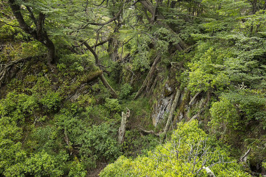 The Outstanding Natural Beauty Of Patagonia
