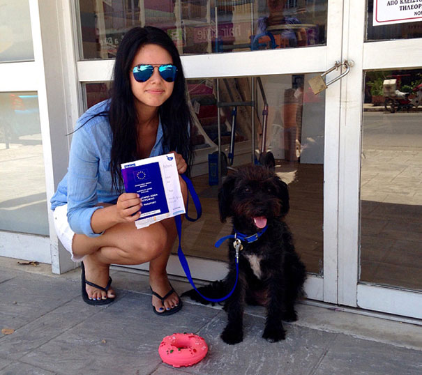 adopt-dog-saves-woman-from-attack-crete-georgia-bradley-9 adopt-dog-saves-woman-from-attack-crete-georgia-bradley-9