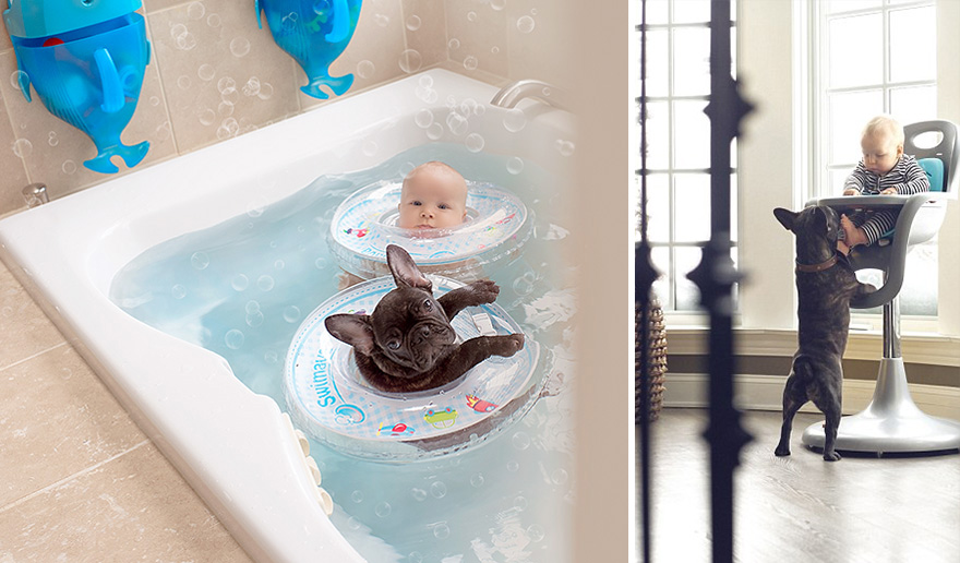 baby-dog-friendship-french-bulldog-ivette-ivens-17 baby-dog-friendship-french-bulldog-ivette-ivens-17