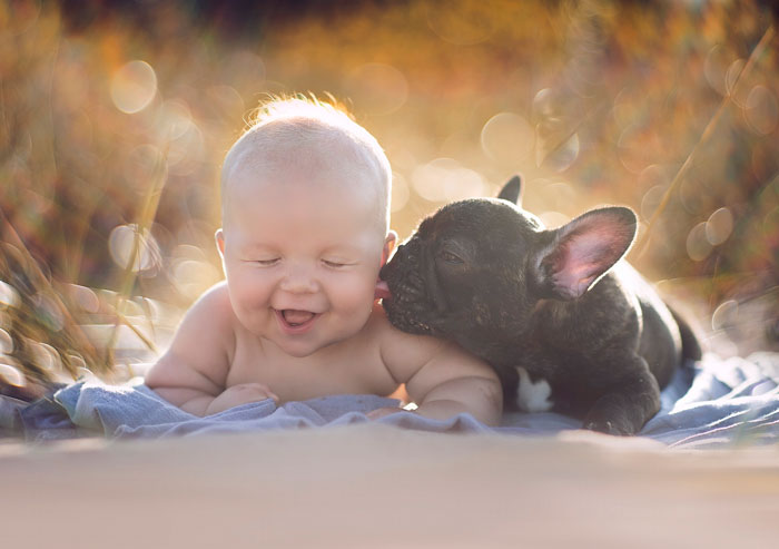 Baby & Bulldog Born On Same Day Think They’re Brothers And Do Everything Together