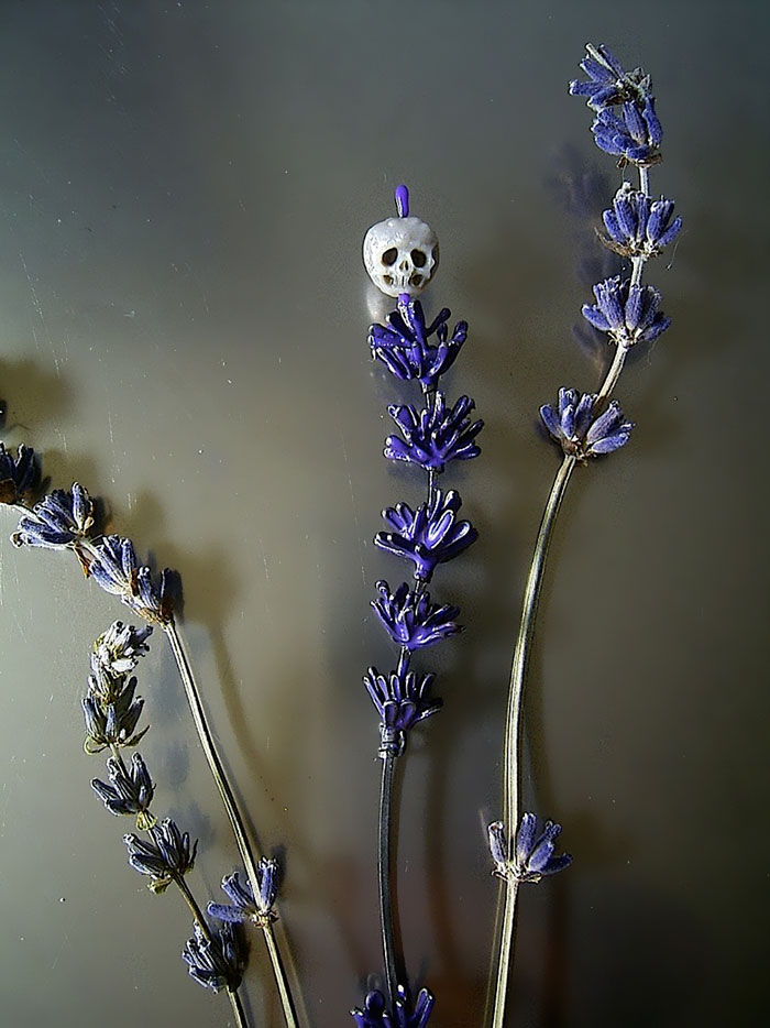 carved-pearl-skulls-vanitas-shinji-nakaba-37