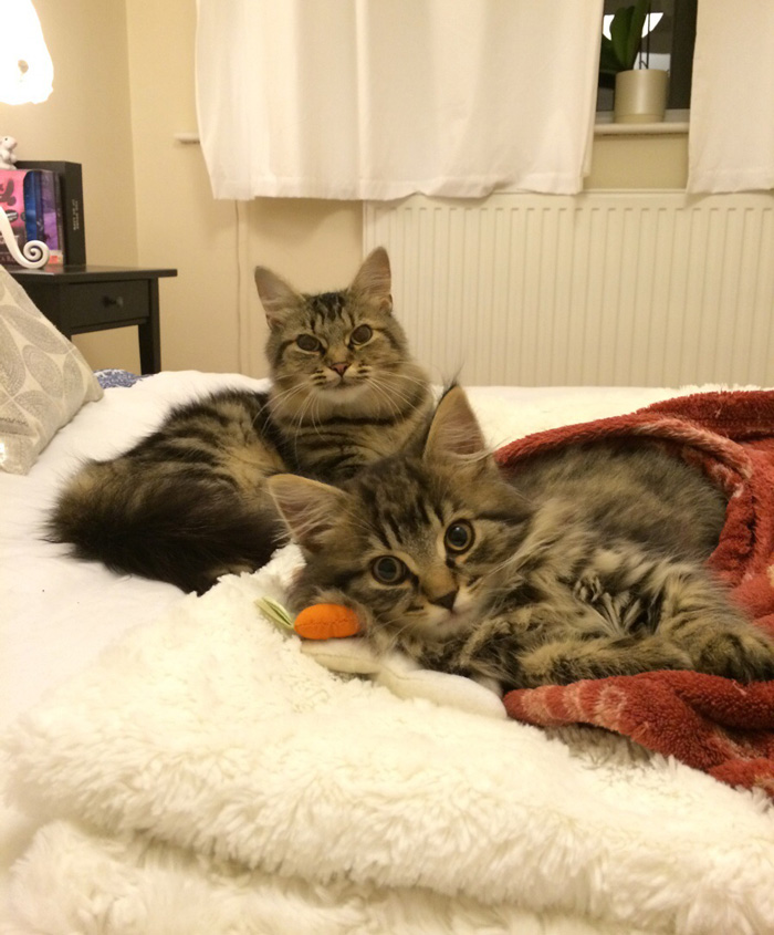 Like Mother, Like Daughter. Meet Marley And Truffle