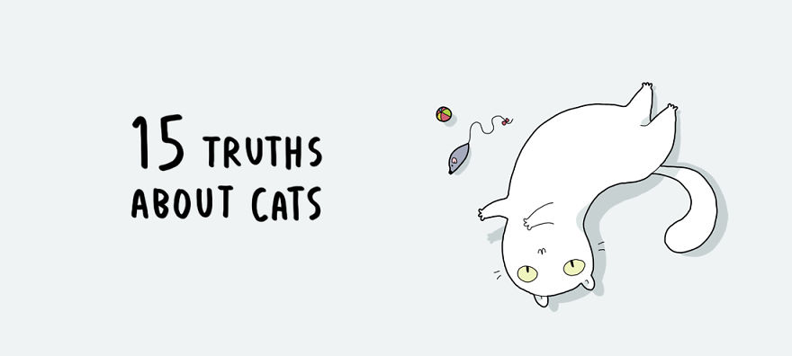 15 Illustrated Truths About Cats
