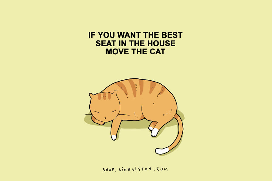 15 Illustrated Truths About Cats 15 Illustrated Truths About Cats
