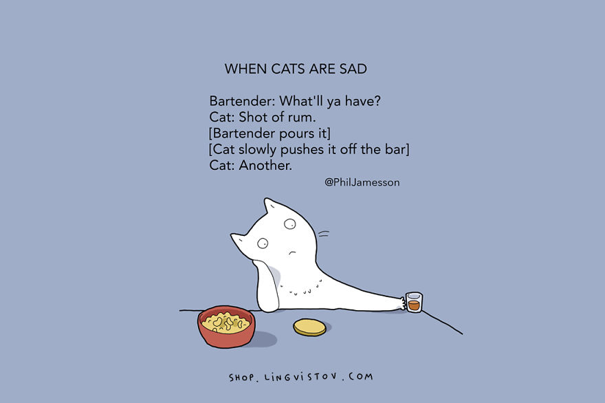 15 Illustrated Truths About Cats