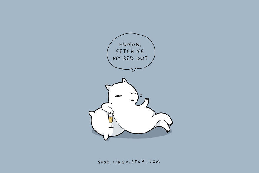 15 Illustrated Truths About Cats