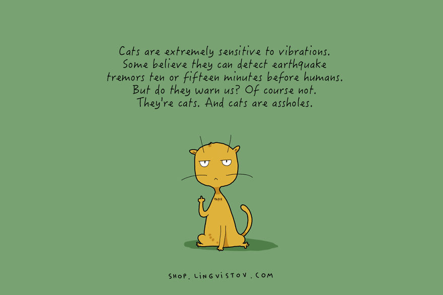 15 Illustrated Truths About Cats