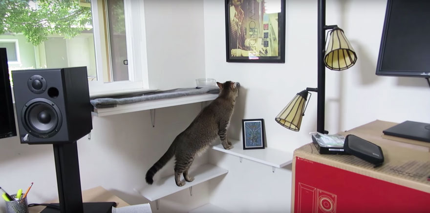 cat-feeder-makes-cat-hunt-for-food-ben-millam-6 cat-feeder-makes-cat-hunt-for-food-ben-millam-6