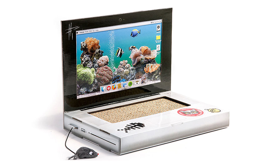 cat-scratch-laptop-toy-suckuk-2