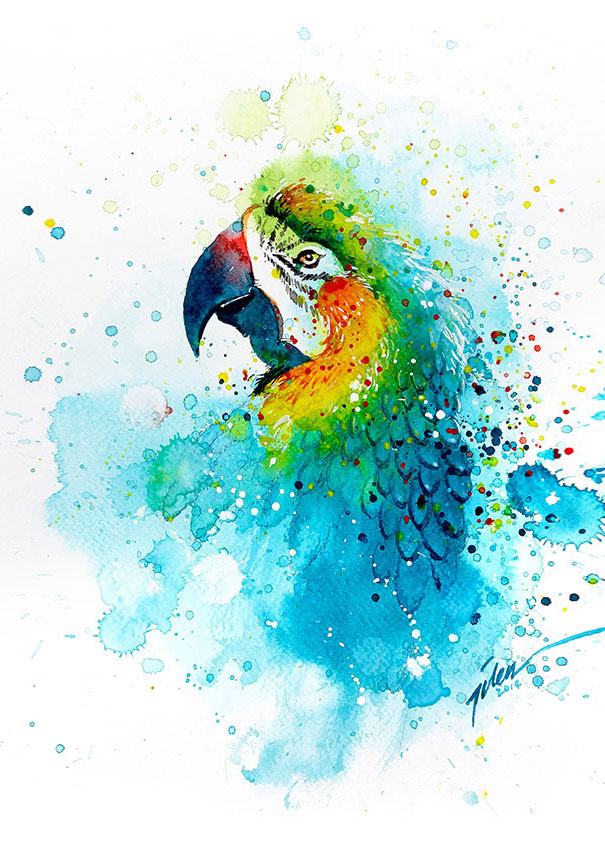 colorful-animal-watercolor-paintings-tilen-ti-12 colorful-animal-watercolor-paintings-tilen-ti-12