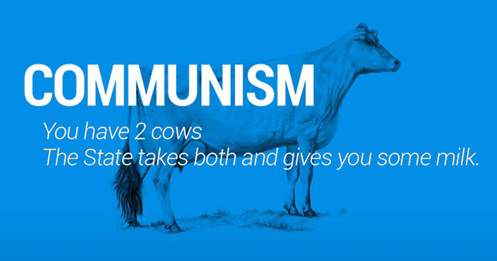 Two Cows Explain Economics Better Than Any Class