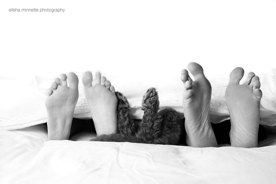 couple-newborn-dog-elisha-minnette-photography-15 couple-newborn-dog-elisha-minnette-photography-15