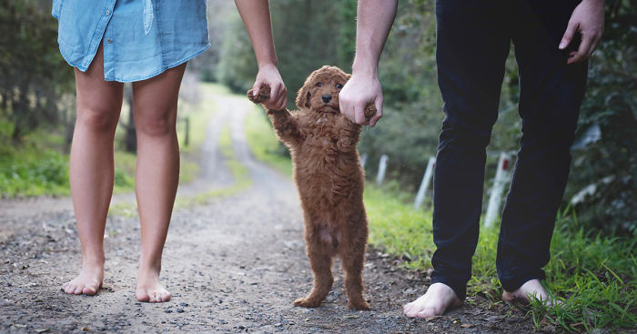 Tired Of Being Asked About Babies, This Couple Did A Newborn Photoshoot With Their Dog