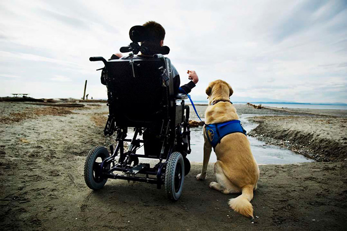 courthouse-dogs-calm-witness-victim-ellen-oneill-celeste-walsen-34 courthouse-dogs-calm-witness-victim-ellen-oneill-celeste-walsen-34