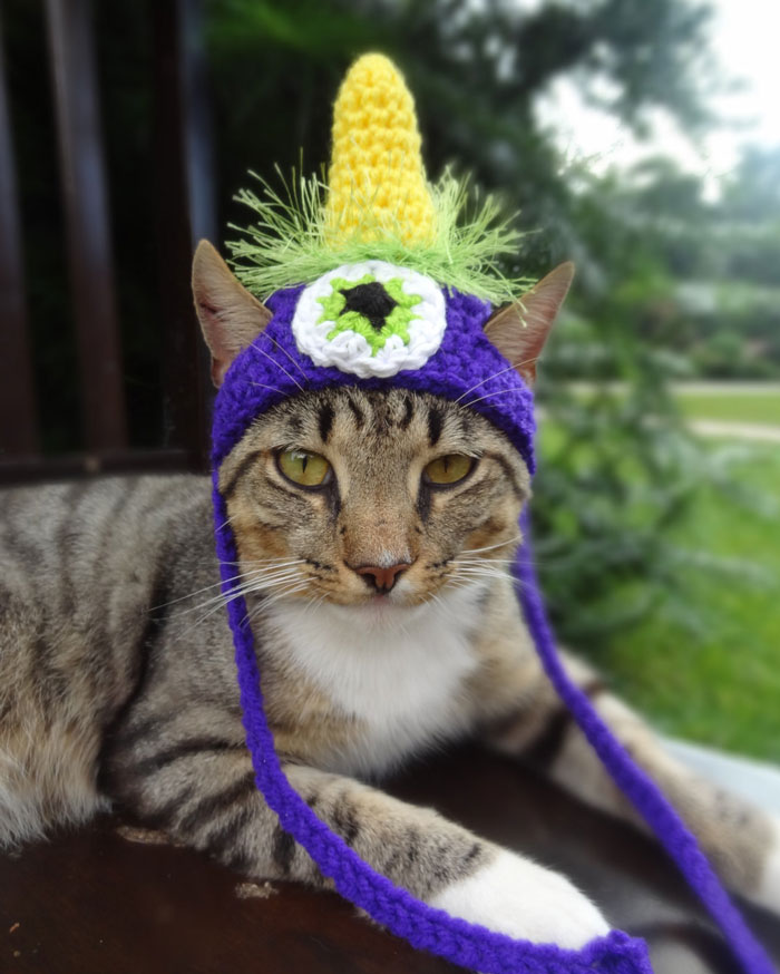 Flying Purple People Eater Hat