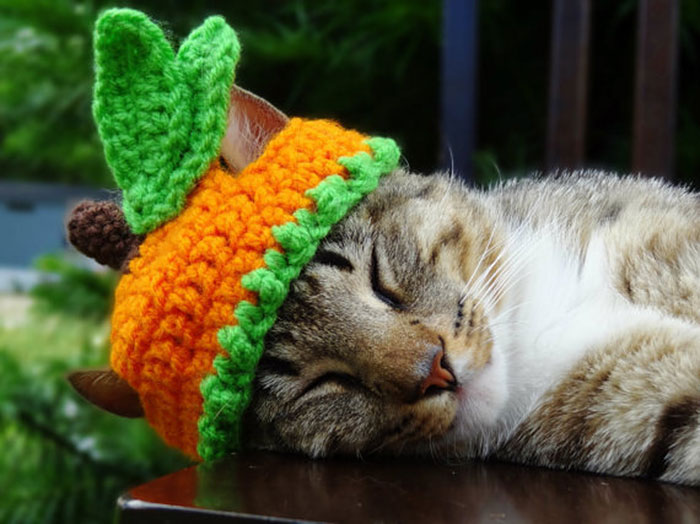 Carrot Hat