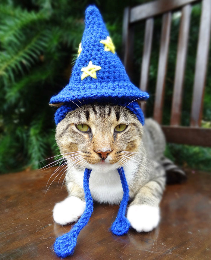 Wizard Hat