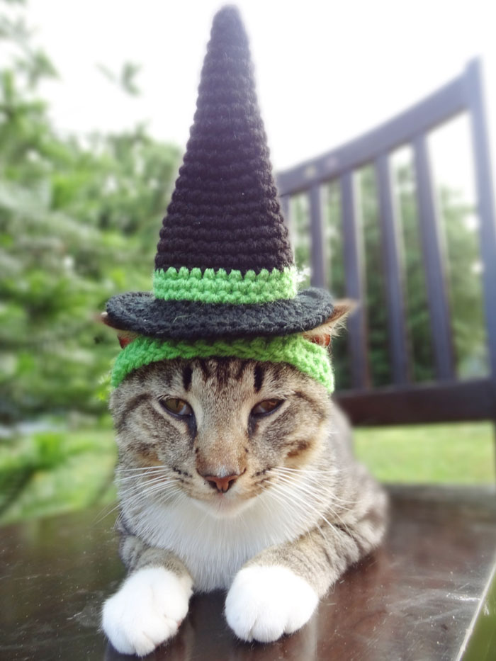 Witch Hat