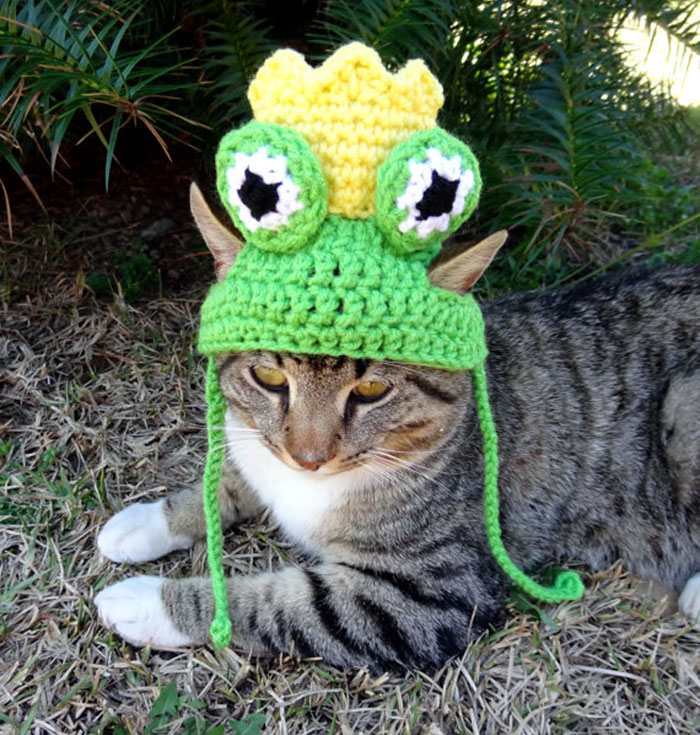 Frog Hat