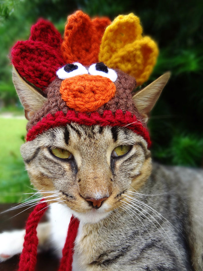 Turkey Hat