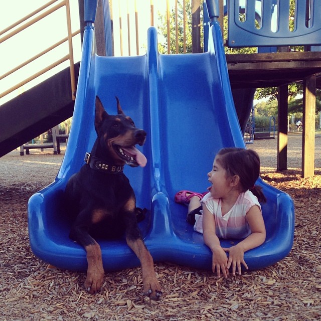 cutie-and-the-beast-dog-girl-seana-doberman-10 cutie-and-the-beast-dog-girl-seana-doberman-10