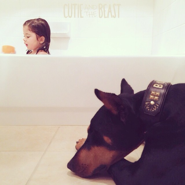 cutie-and-the-beast-dog-girl-seana-doberman-103 cutie-and-the-beast-dog-girl-seana-doberman-103