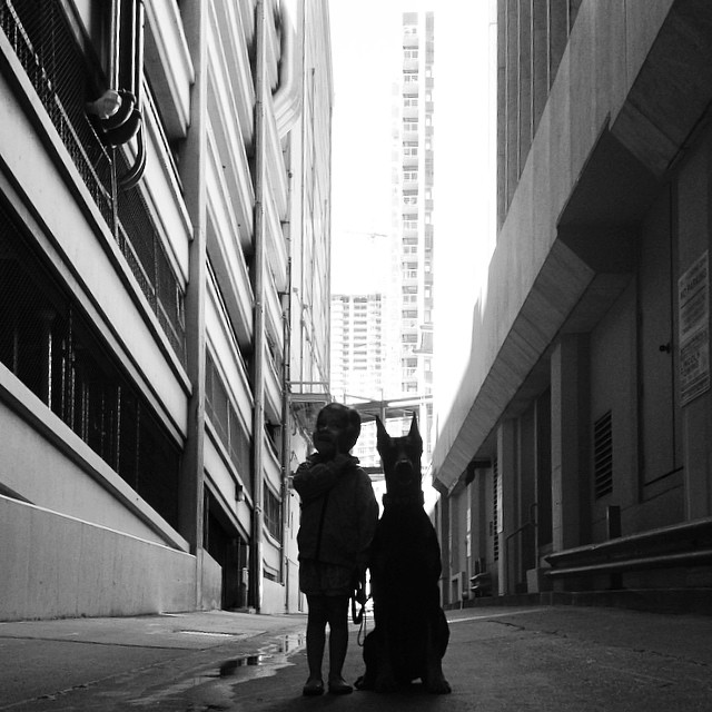 cutie-and-the-beast-dog-girl-seana-doberman-14 cutie-and-the-beast-dog-girl-seana-doberman-14