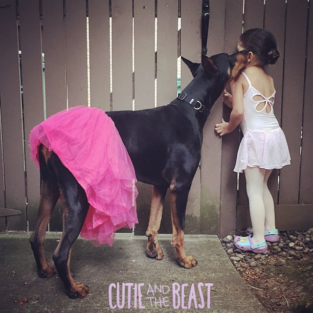 cutie-and-the-beast-dog-girl-seana-doberman-42 cutie-and-the-beast-dog-girl-seana-doberman-42