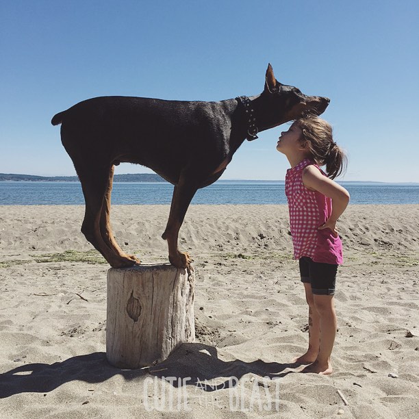 cutie-and-the-beast-dog-girl-seana-doberman-43 cutie-and-the-beast-dog-girl-seana-doberman-43
