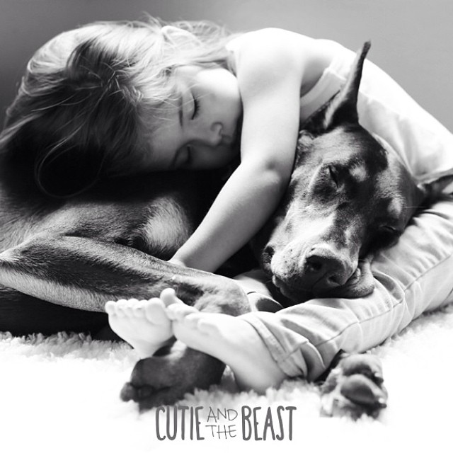 cutie-and-the-beast-dog-girl-seana-doberman-7 cutie-and-the-beast-dog-girl-seana-doberman-7