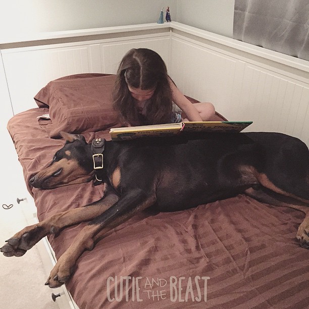 cutie-and-the-beast-dog-girl-seana-doberman-99 cutie-and-the-beast-dog-girl-seana-doberman-99