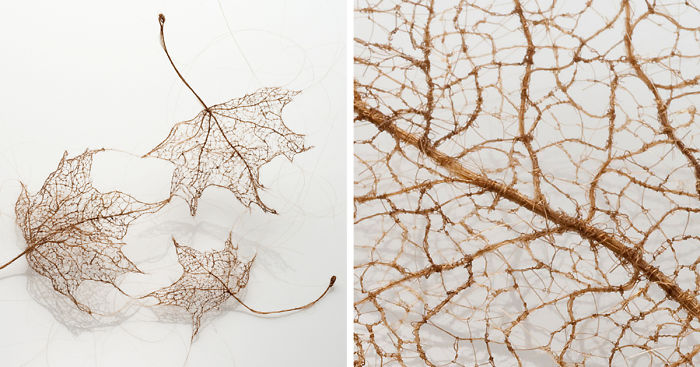 I Make Leaves Out Of Human Hair