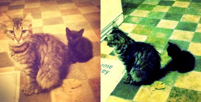 Vedo Doppio / See Double