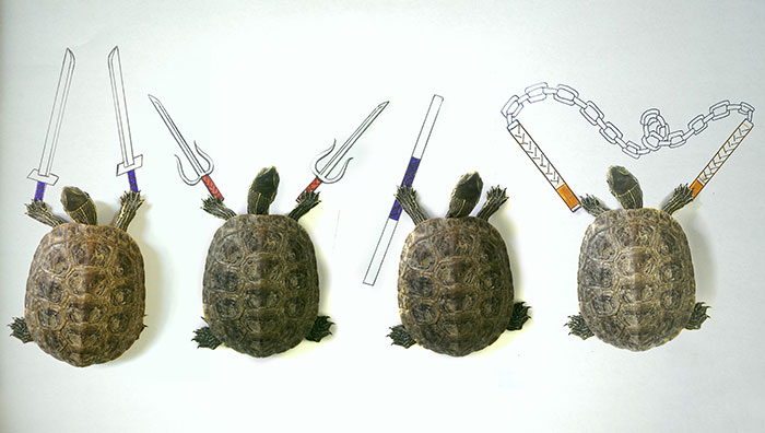 I Draw Interactive Illustrations Using Everyday Objects (Part 2)