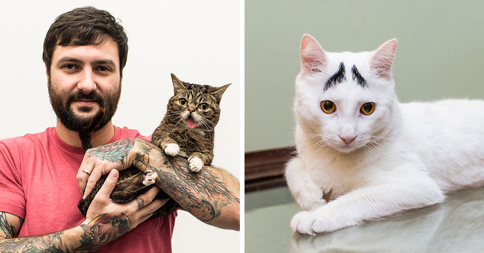 We Travel Around The U.s. Photographing Celebrity Cats And Their Caretakers
