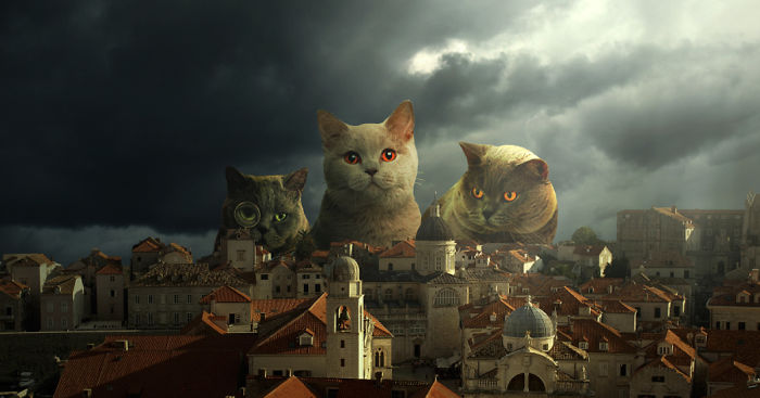 I Create Surreal Worlds For Animals To Live In Without Cruelty