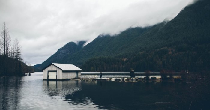 Nature Obsession: My Favorite Photos Of Nick Carnera