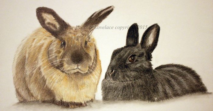 I Draw Custom Pet Portraits In Pencil