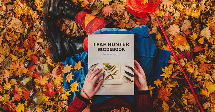 My Little Photo-Tribute To Wes Anderson Films